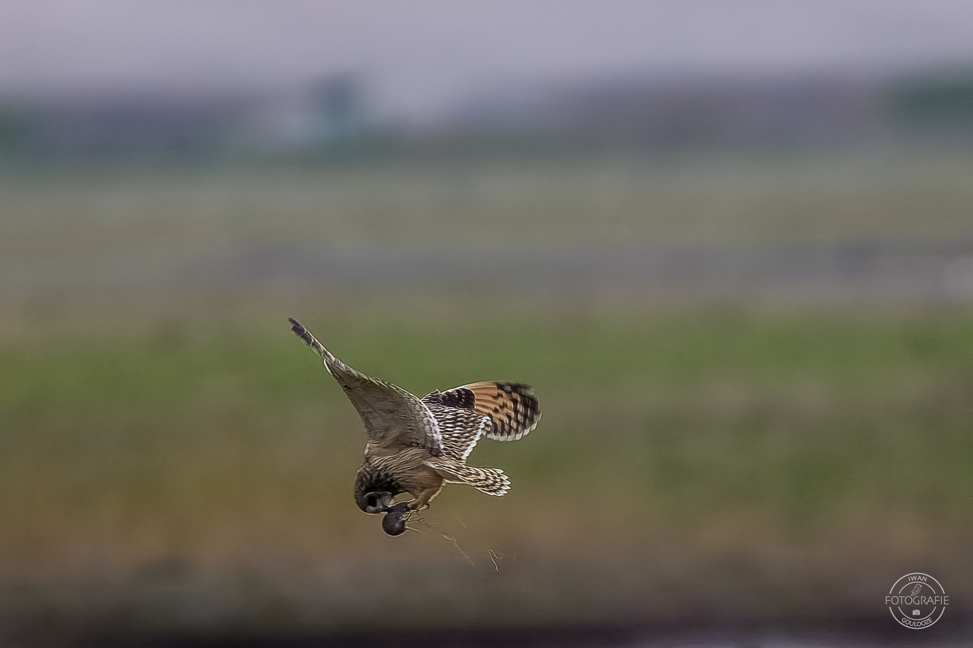 15 oktober 2022 174915 1R2A2071 bewerkt